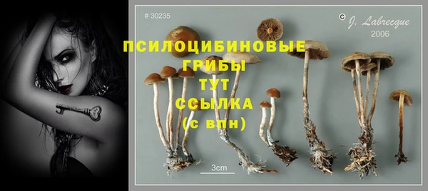 сатива Баксан