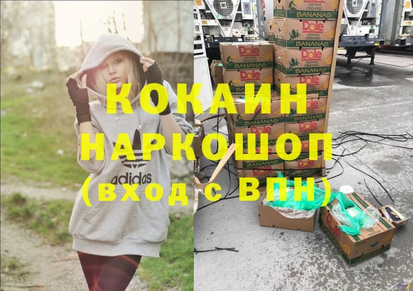 сатива Баксан