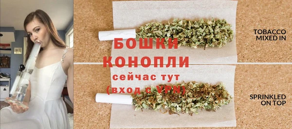 сатива Баксан
