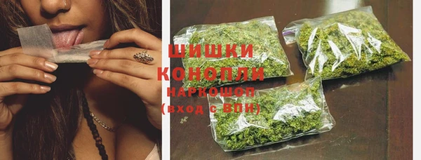 сатива Баксан